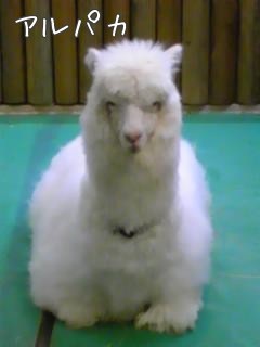 ÃpJ