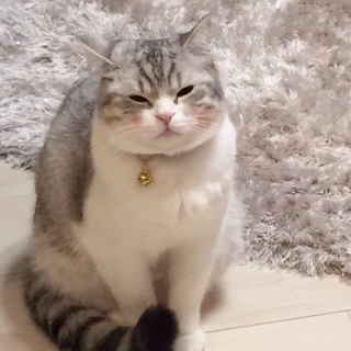 킢