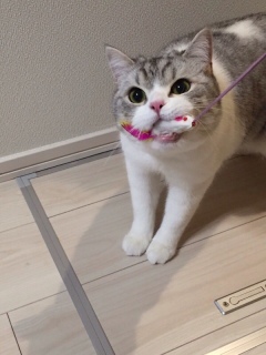 I