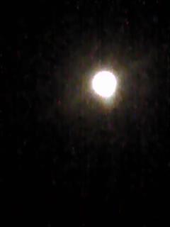 (untitled)