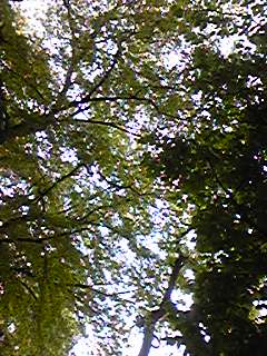 (untitled)