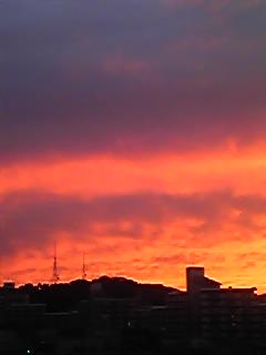 ��������I